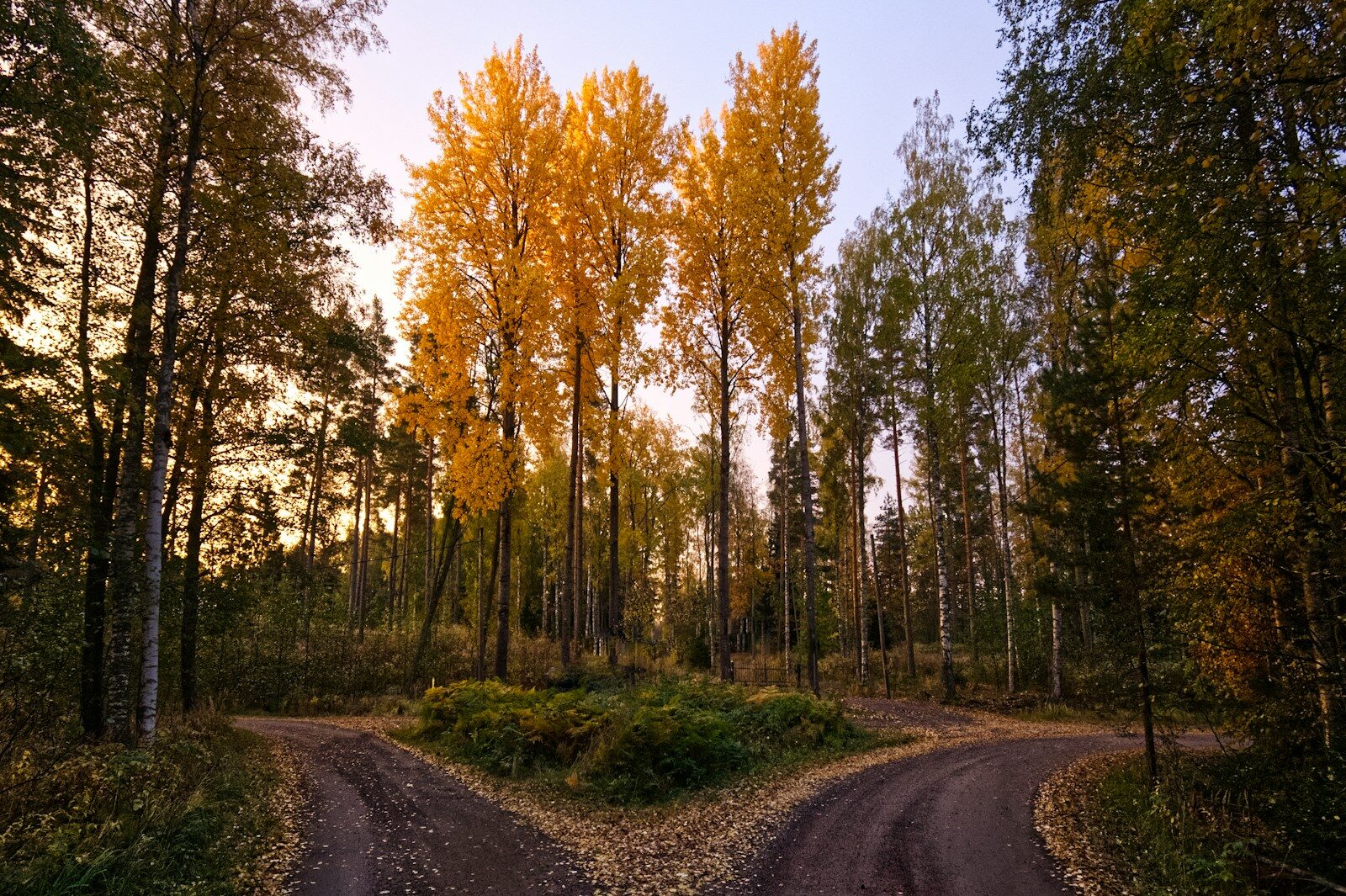 Becoming the Chooser: Identifying the Pillars of True Authority